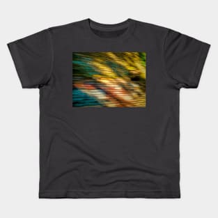 Fast Trains and Slow Walls Kids T-Shirt